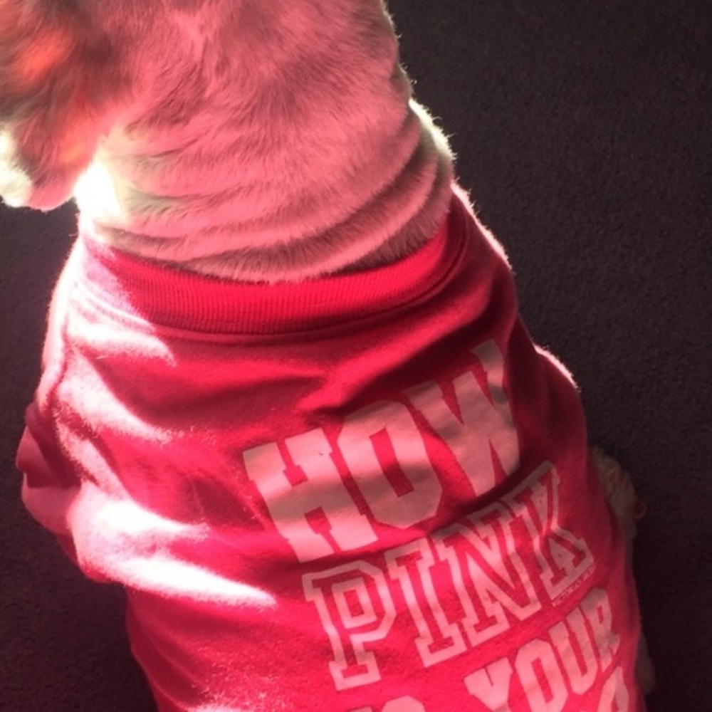 PINK Victoria's Secret Bright Pink Dog Tee